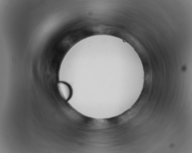 X0000100410429200807032042