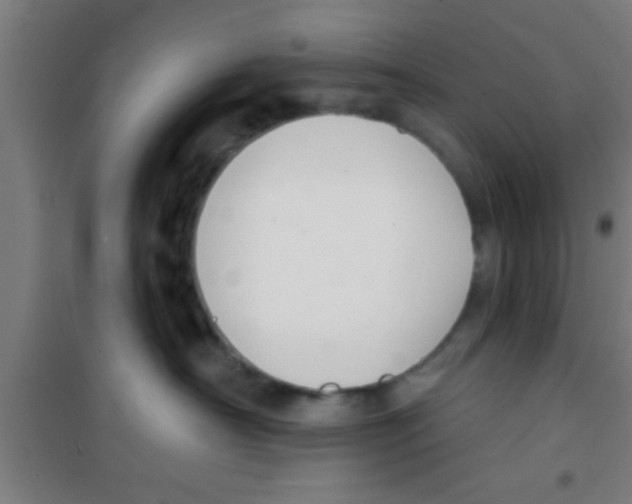 X0000100410430200807032042