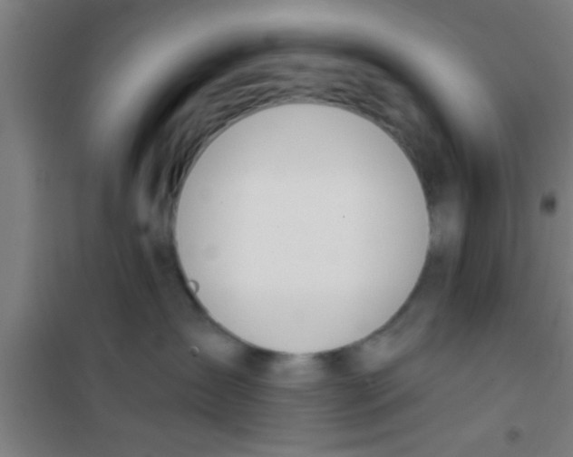 X0000100410431200807032042