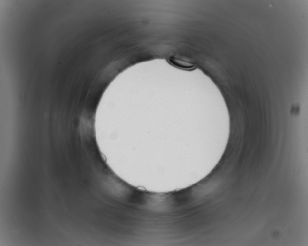 X0000100410432200807032042