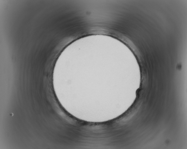 X0000100410433200807032041