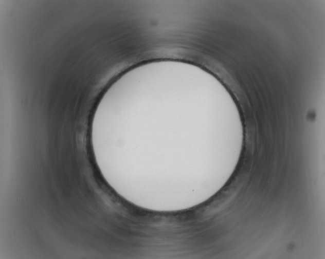 X0000100410434200807032041