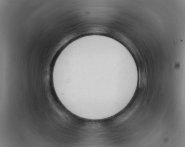 X0000100410435200807032041