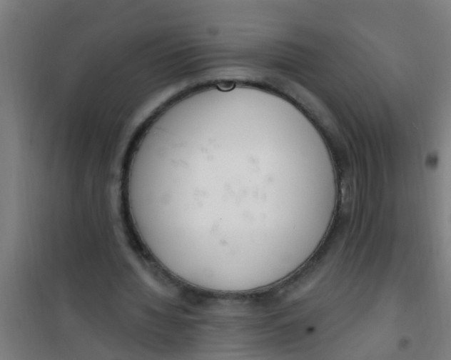 X0000100410436200807032041