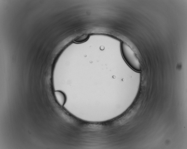 X0000100410437200807032041
