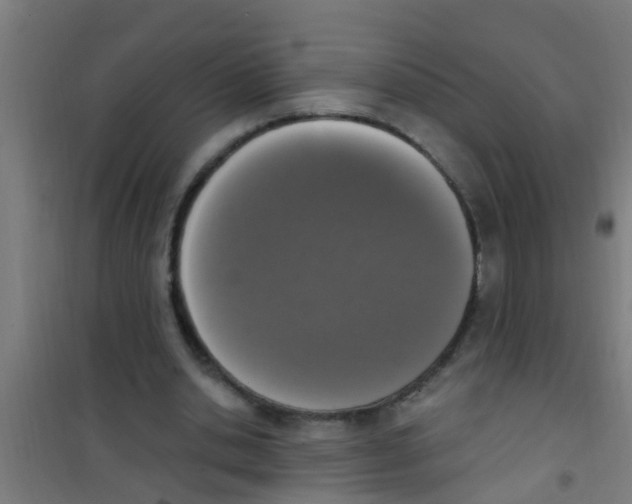 X0000100410438200807032041