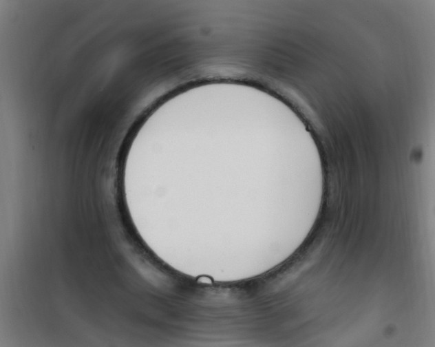 X0000100410439200807032041