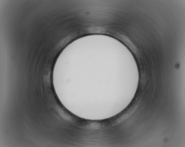 X0000100410441200807032041