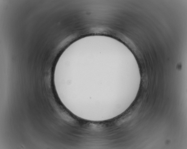 X0000100410442200807032041