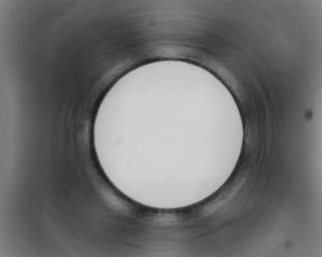X0000100410445200807032041