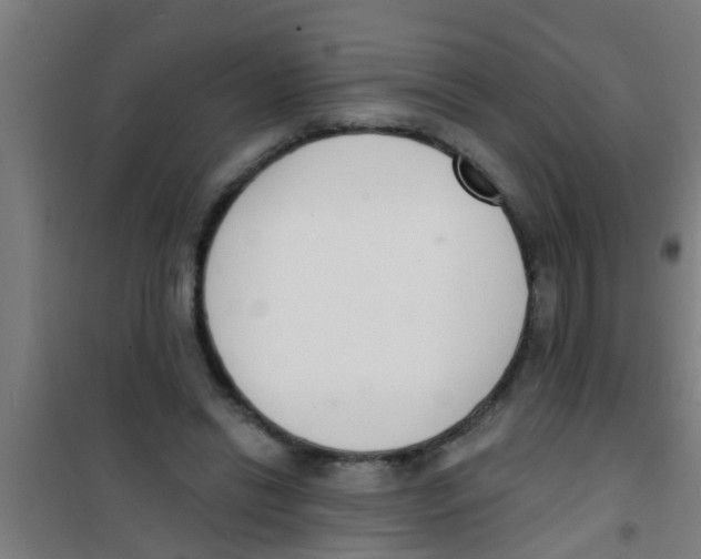 X0000100410446200807032041