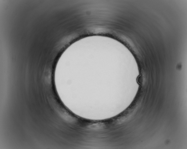 X0000100410447200807032041