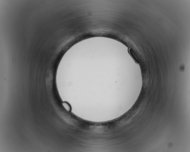 X0000100410448200807032042
