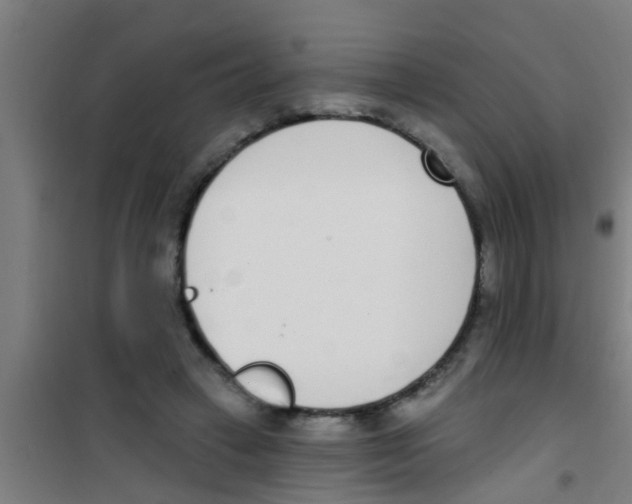 X0000100410449200807032042