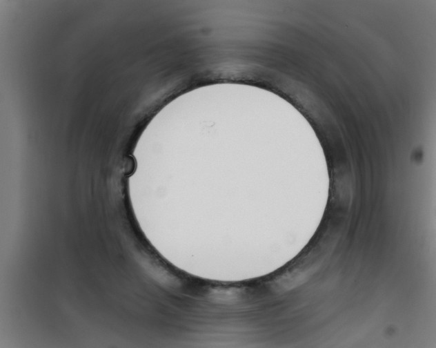 X0000100410450200807032042