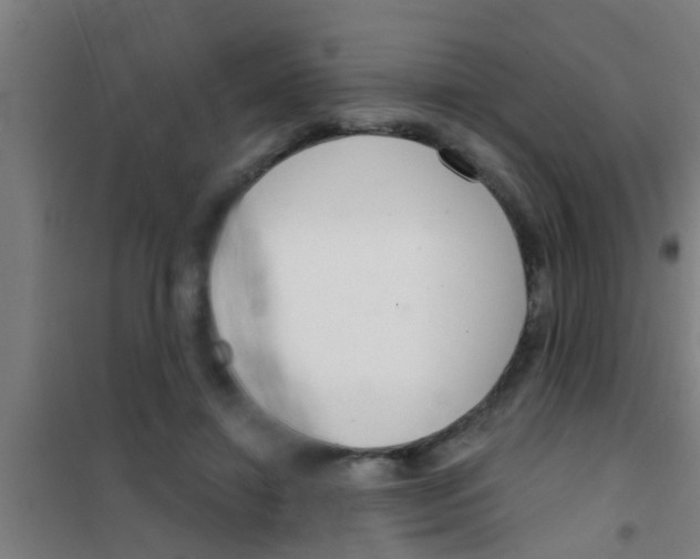 X0000100410452200807032042