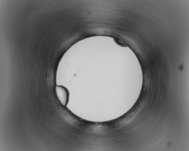 X0000100410453200807032042