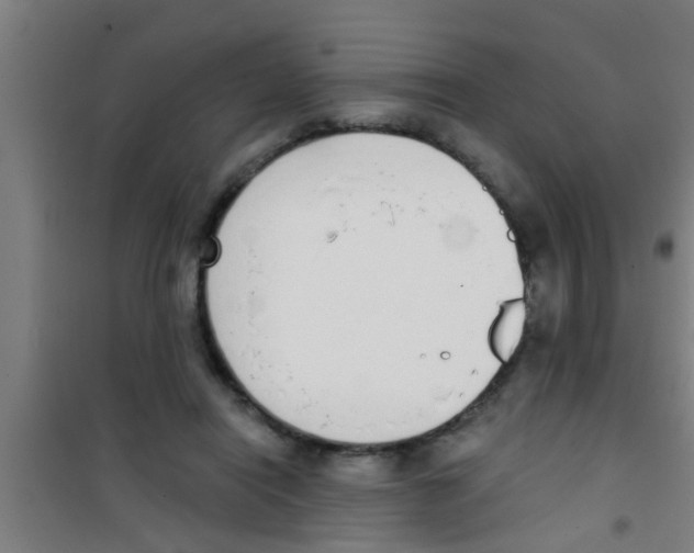 X0000100410454200807032042