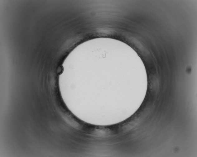 X0000100410455200807032042