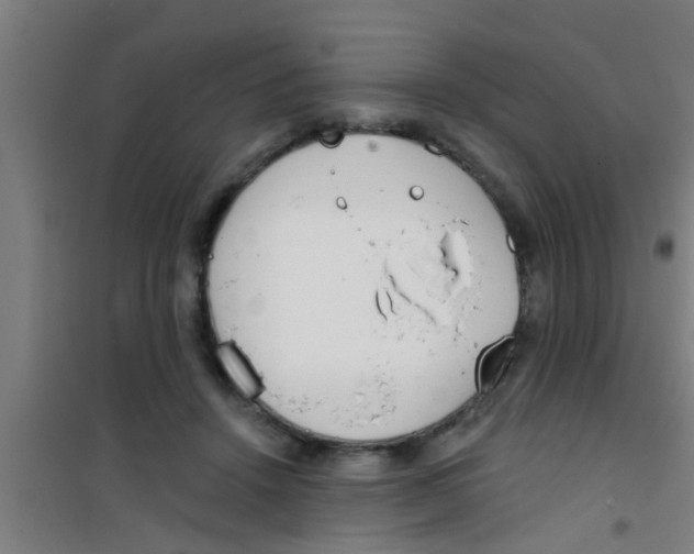 X0000100410456200807032042