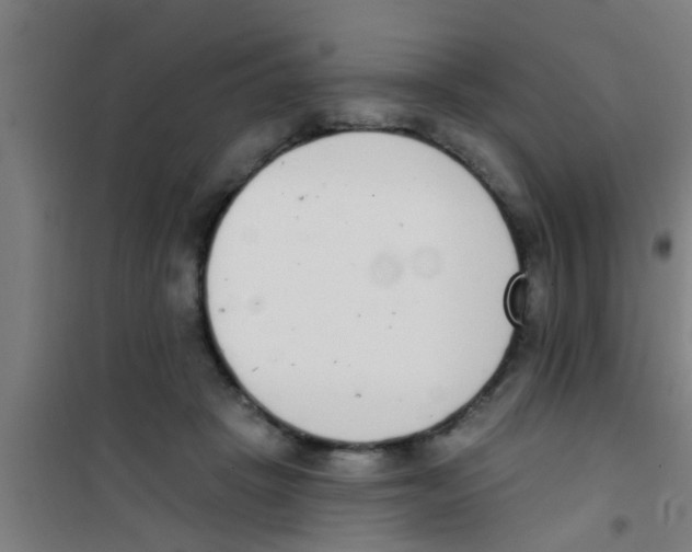 X0000100410457200807032042