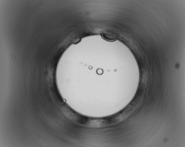 X0000100410461200807032042