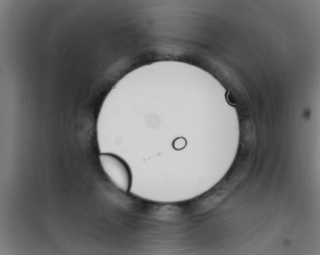 X0000100410463200807032042