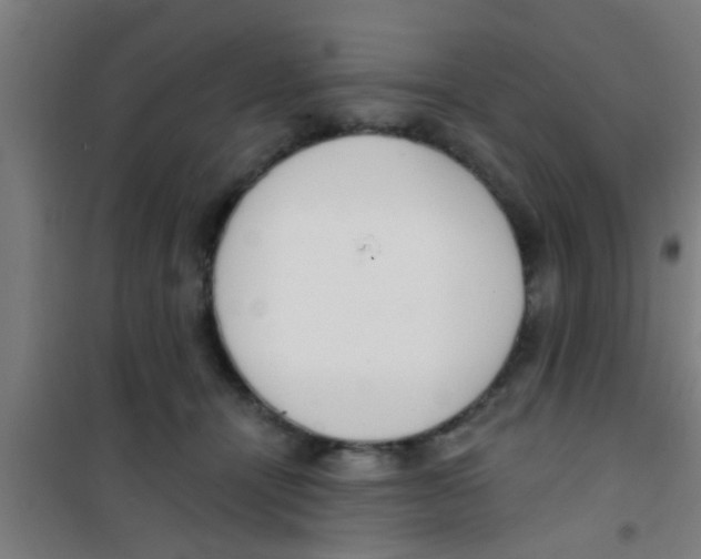 X0000100410464200807032042