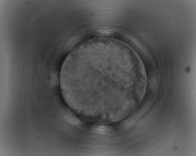 X0000100410467200807032042