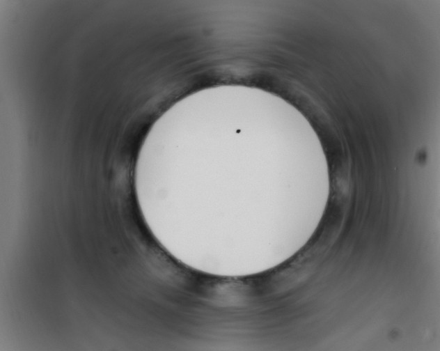 X0000100410468200807032042
