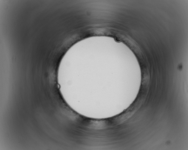 X0000100410469200807032042