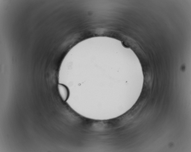 X0000100410470200807032042