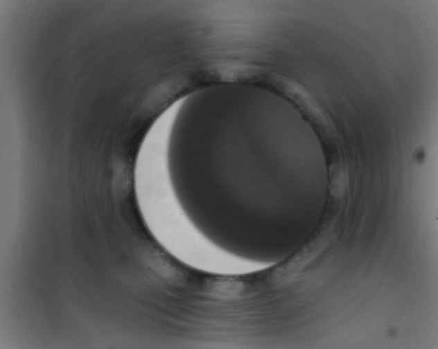 X0000100410471200807032042
