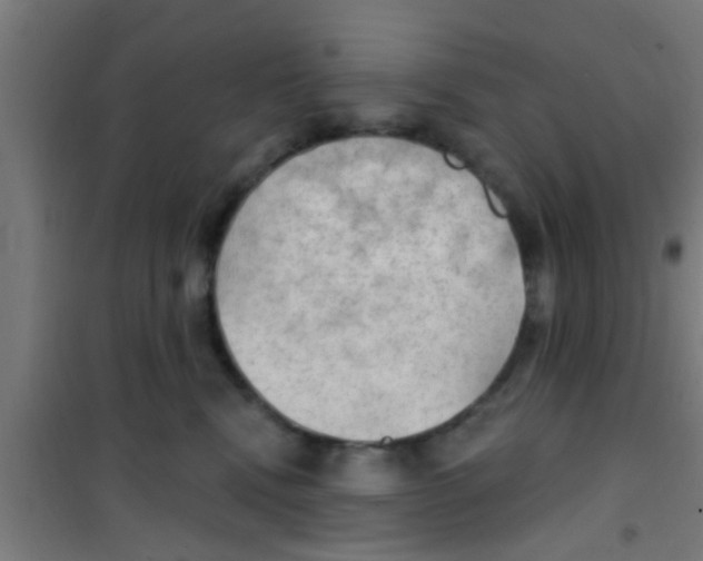 X0000100410472200807032042