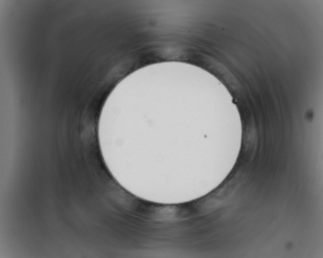 X0000100410473200807032042