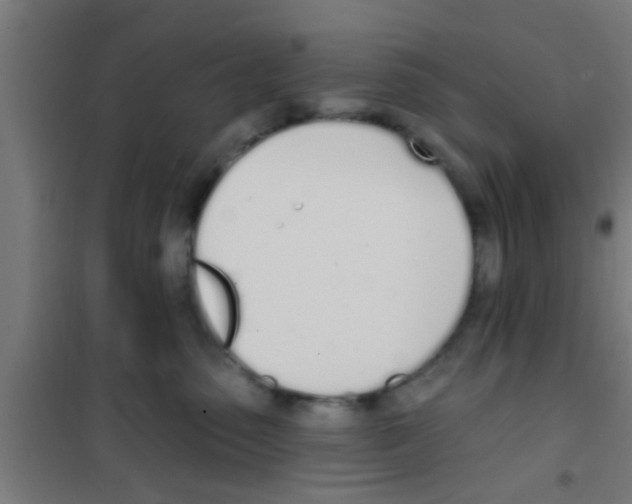 X0000100410475200807032042