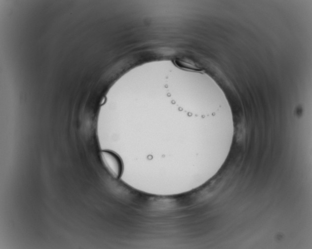 X0000100410476200807032042