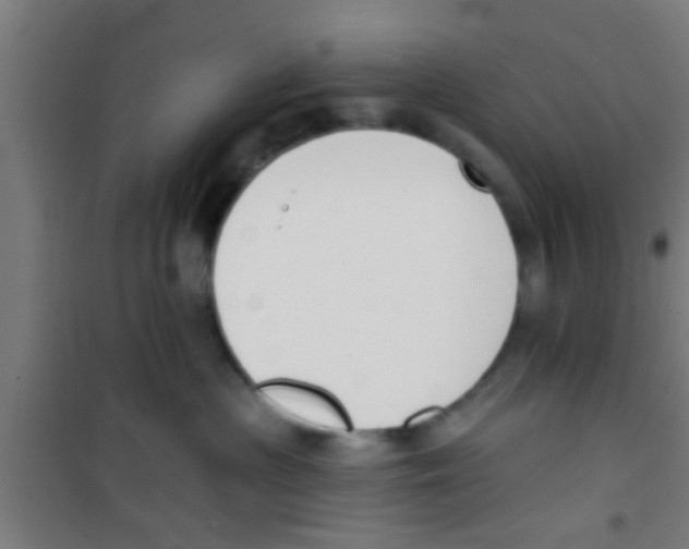 X0000100410477200807032042