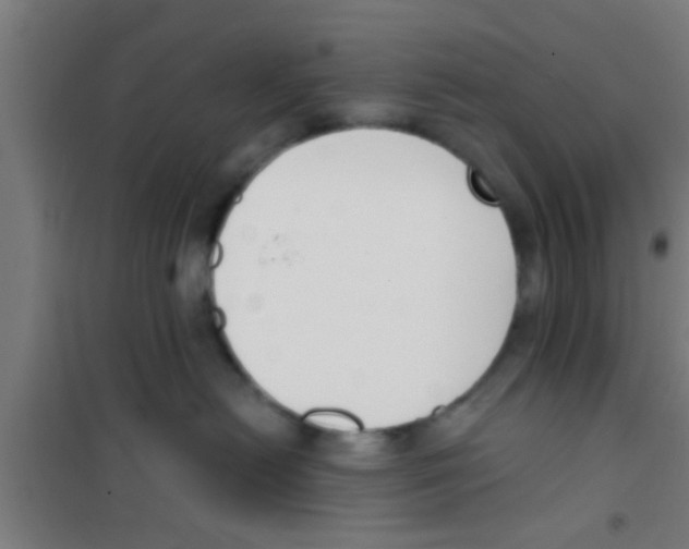X0000100410478200807032042
