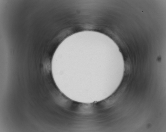 X0000100410479200807032042