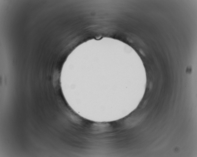 X0000100410480200807032042