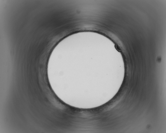 X0000100410481200807032041