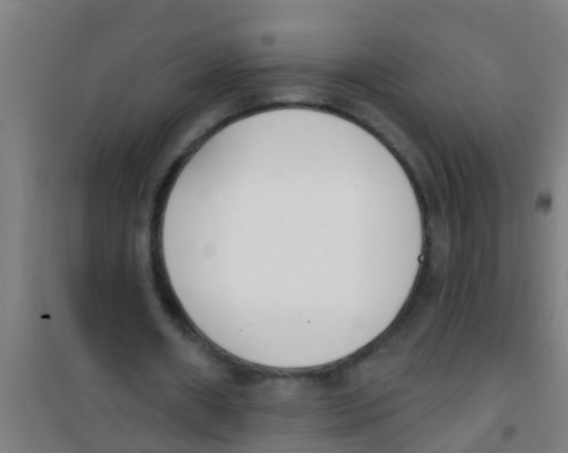 X0000100410482200807032041