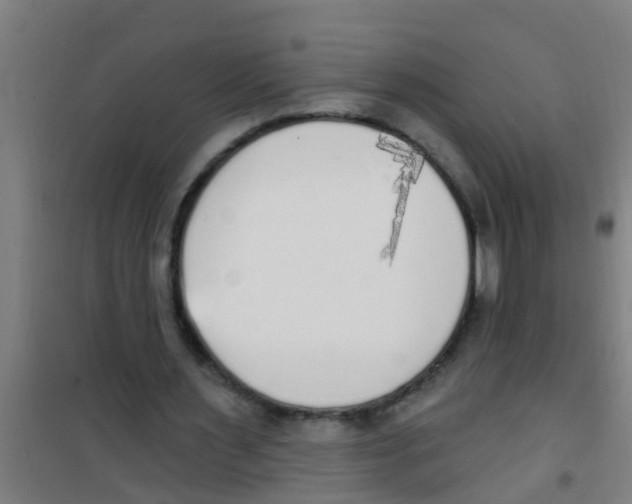 X0000100410483200807032041