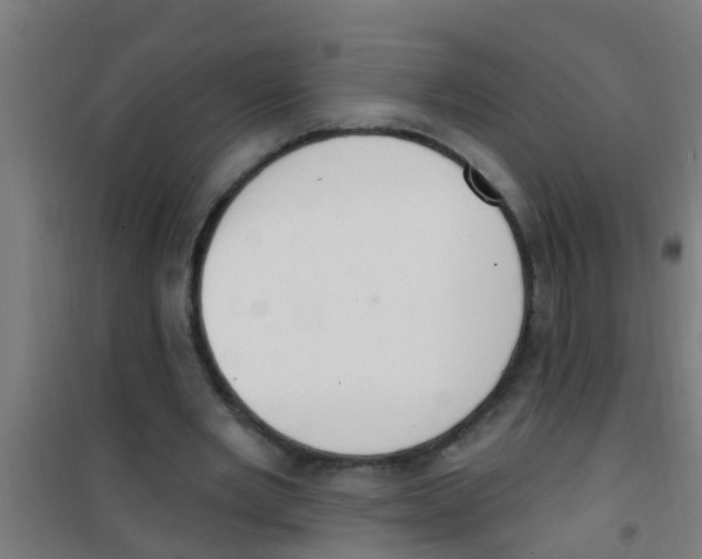 X0000100410485200807032041