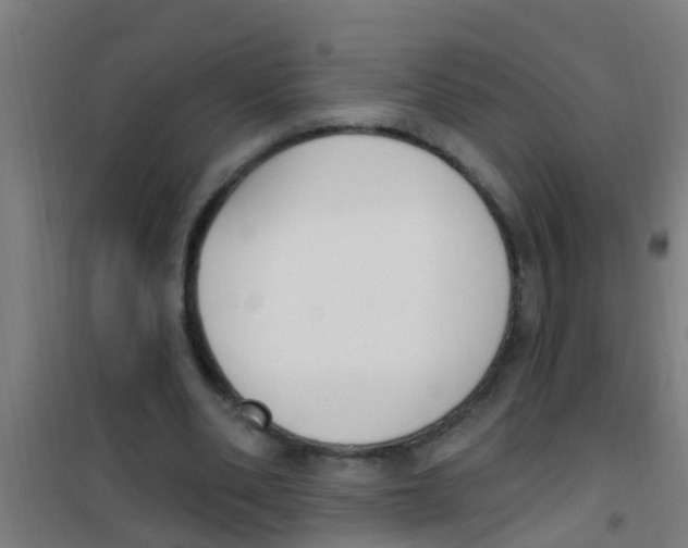 X0000100410486200807032041