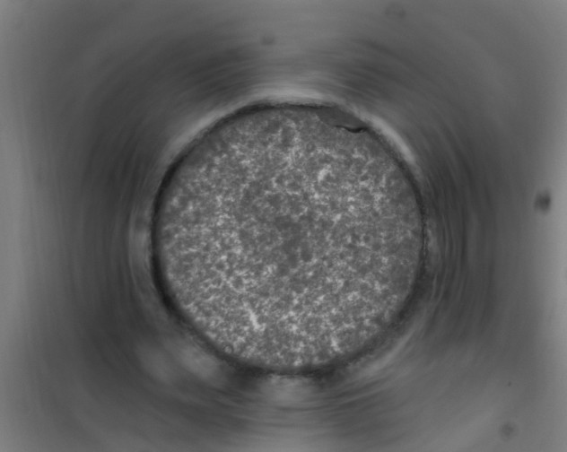 X0000100410487200807032041