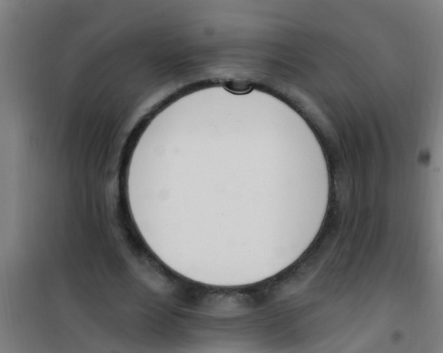 X0000100410488200807032041