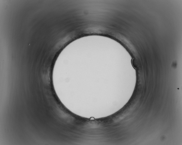 X0000100410489200807032041