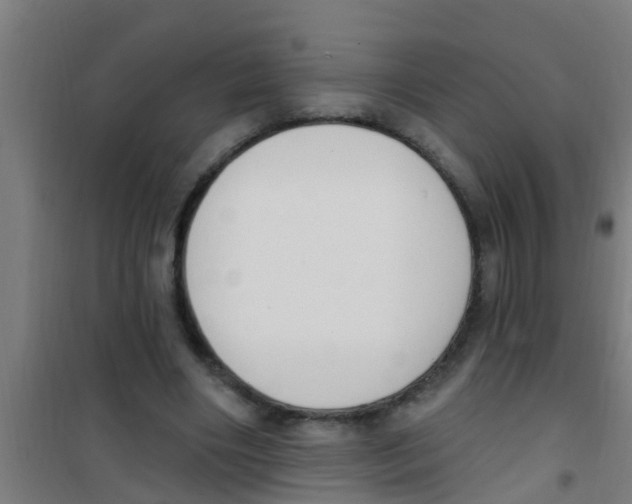 X0000100410490200807032041